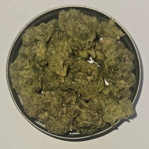 Gorilla Glue #4 60%I