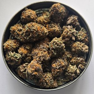 Purple Kush