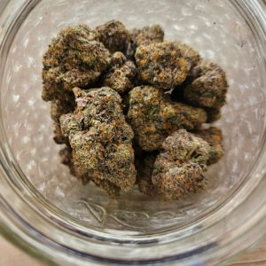 Gelato 41 55% S