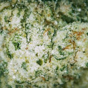 Frosted Gorilla Glue