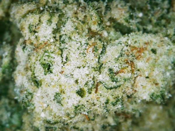 Frosted Gorilla Glue