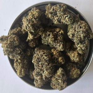 Rainbow Sherbet 50/50